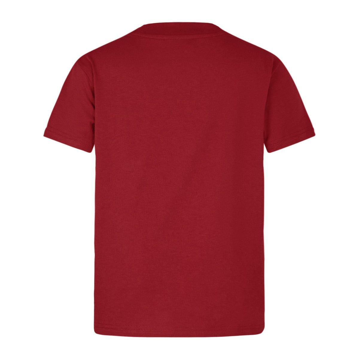 2025 British & Irish Rugby Jersey