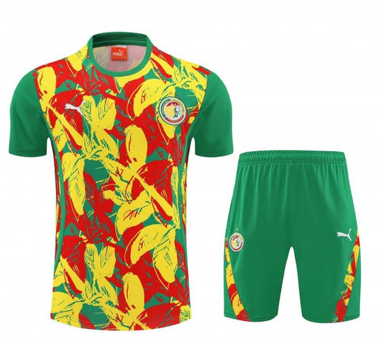 25/26 Senegal Green Tropical Floral Print Short Sleeve Training Suit + Shorts