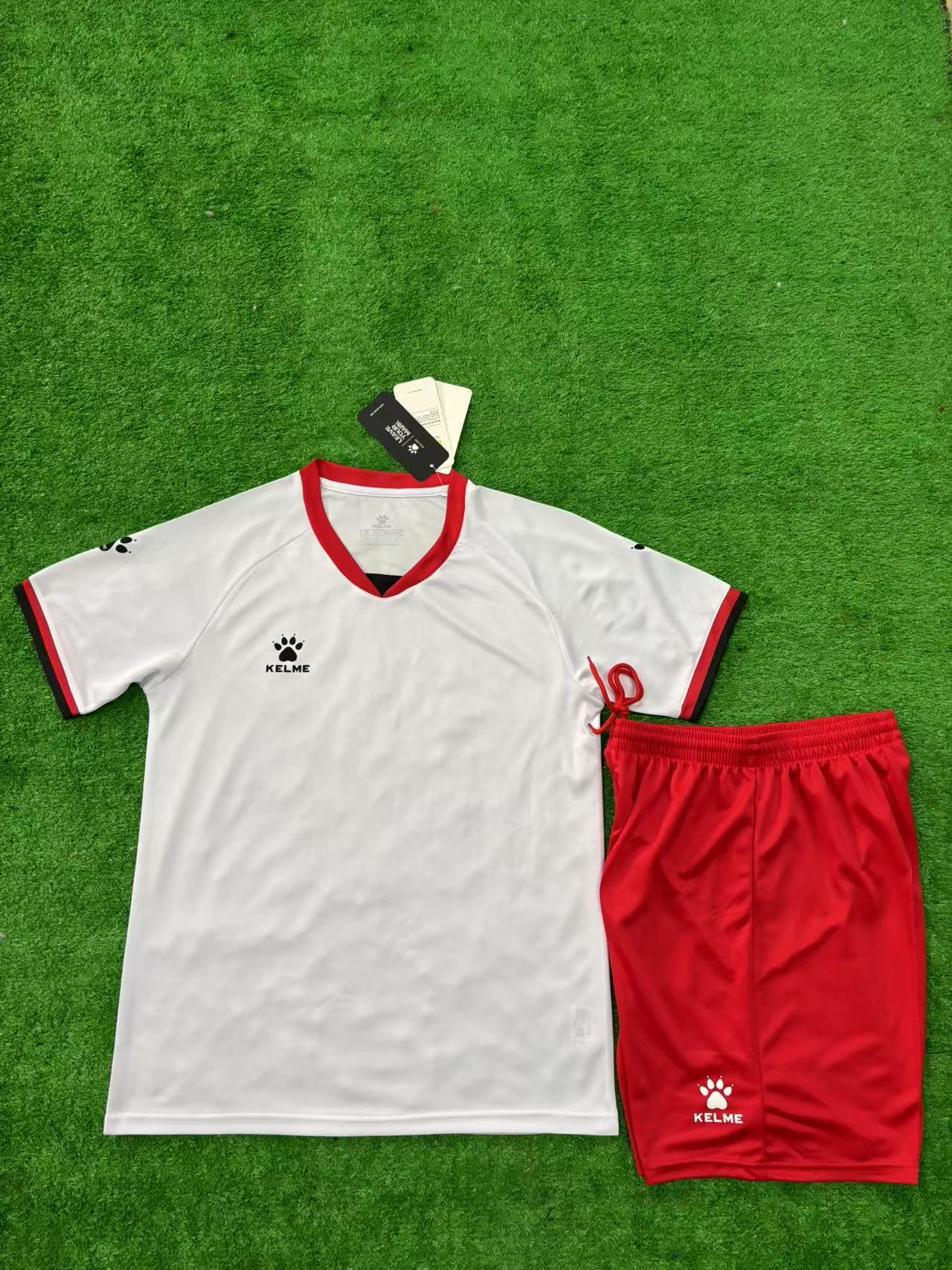 New model 8306 Kalmei, eight colors, 3XS-5XL