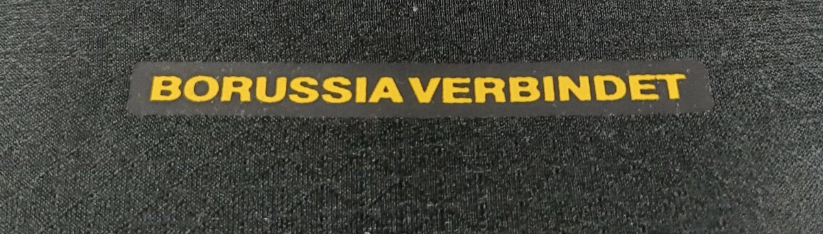 Player Version 26/27 Borussia Dortmund Away Black Jersey