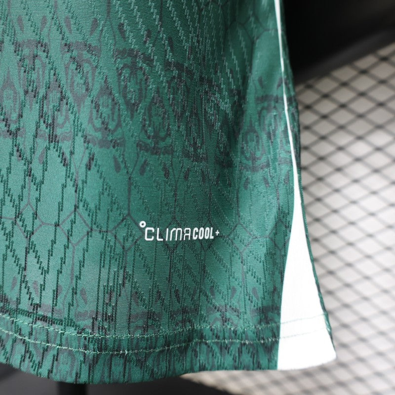 Player Version 26/27 Arsenal Green & White Special Edition Jersey